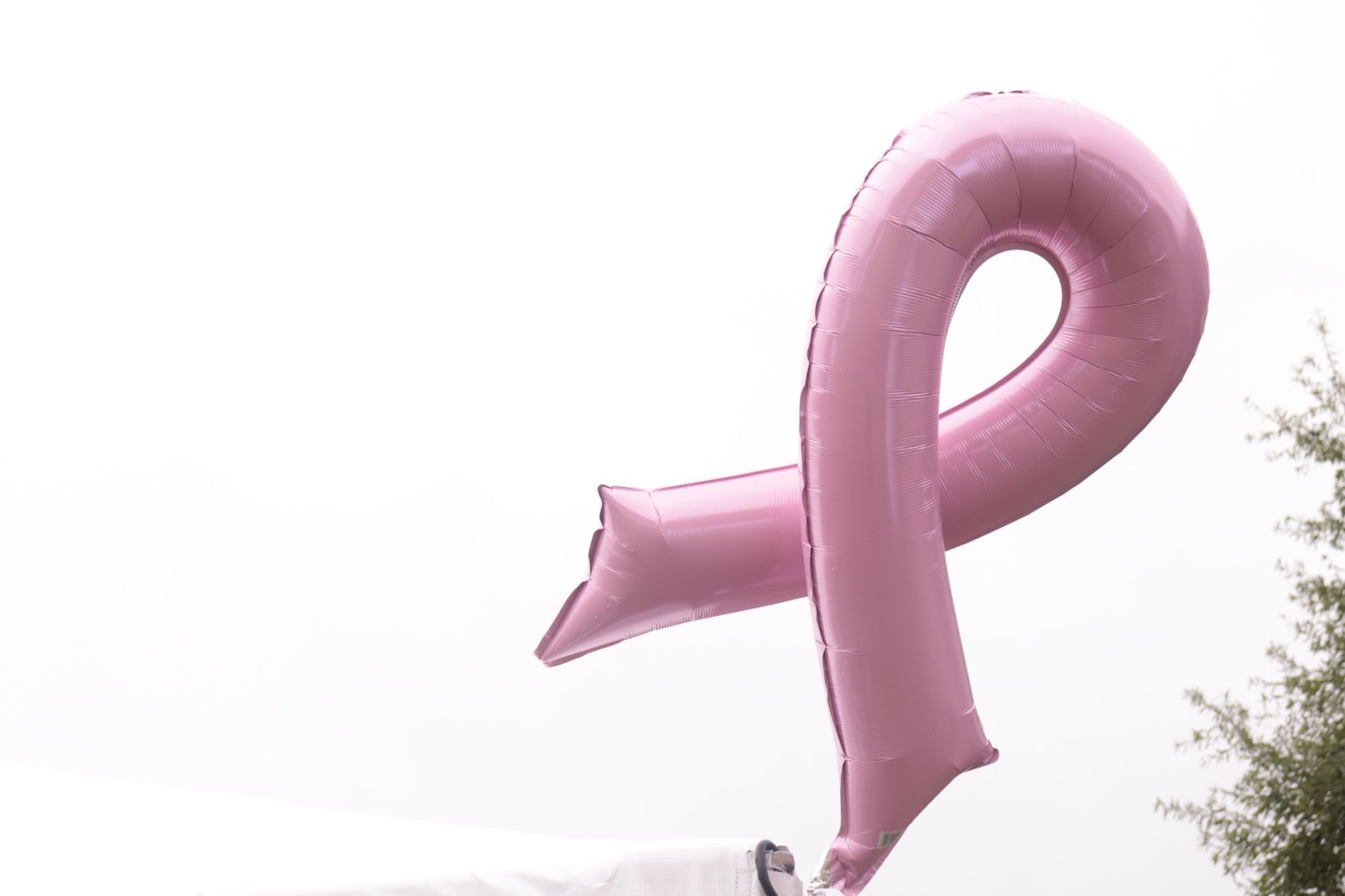 All In, All Pink